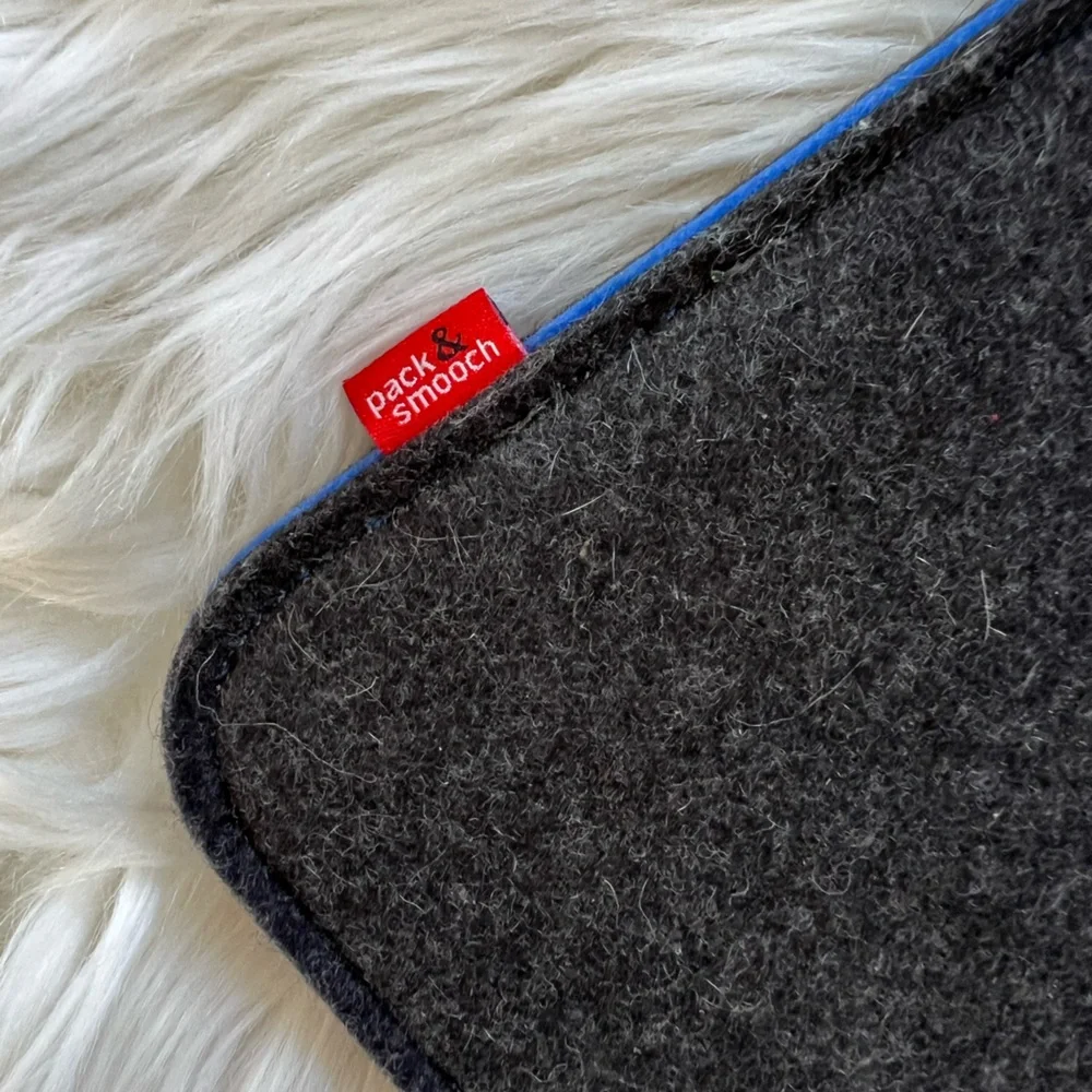PACK & SMOOCH Wool Felt Mini IPad Case